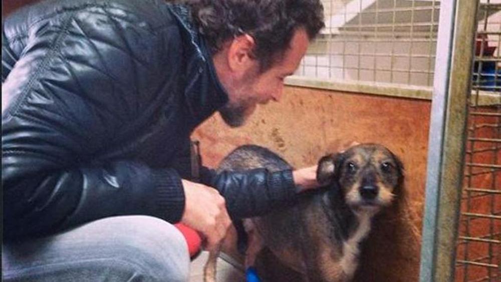 Il regalo di Jovanotti al canile di Ossaia di Cortona