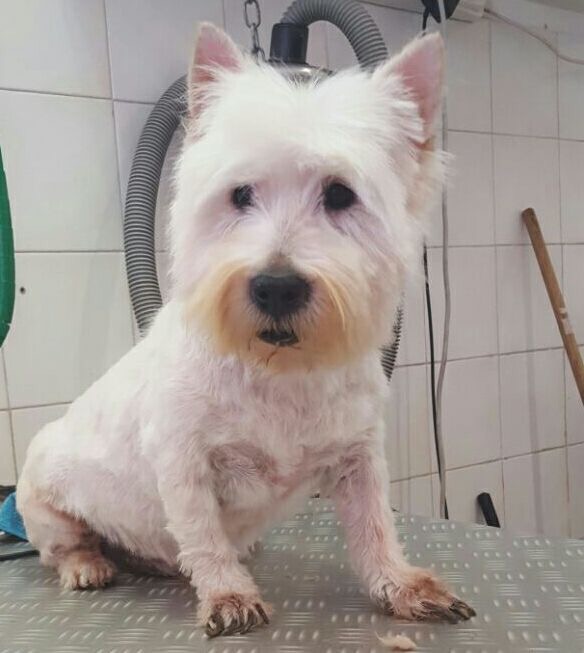 GERRY