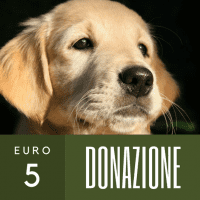 Donazione 5 euro