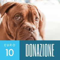 Donazione 10 euro