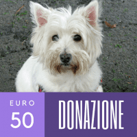 Donazione 50 euro
