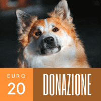 Donazione 20 euro