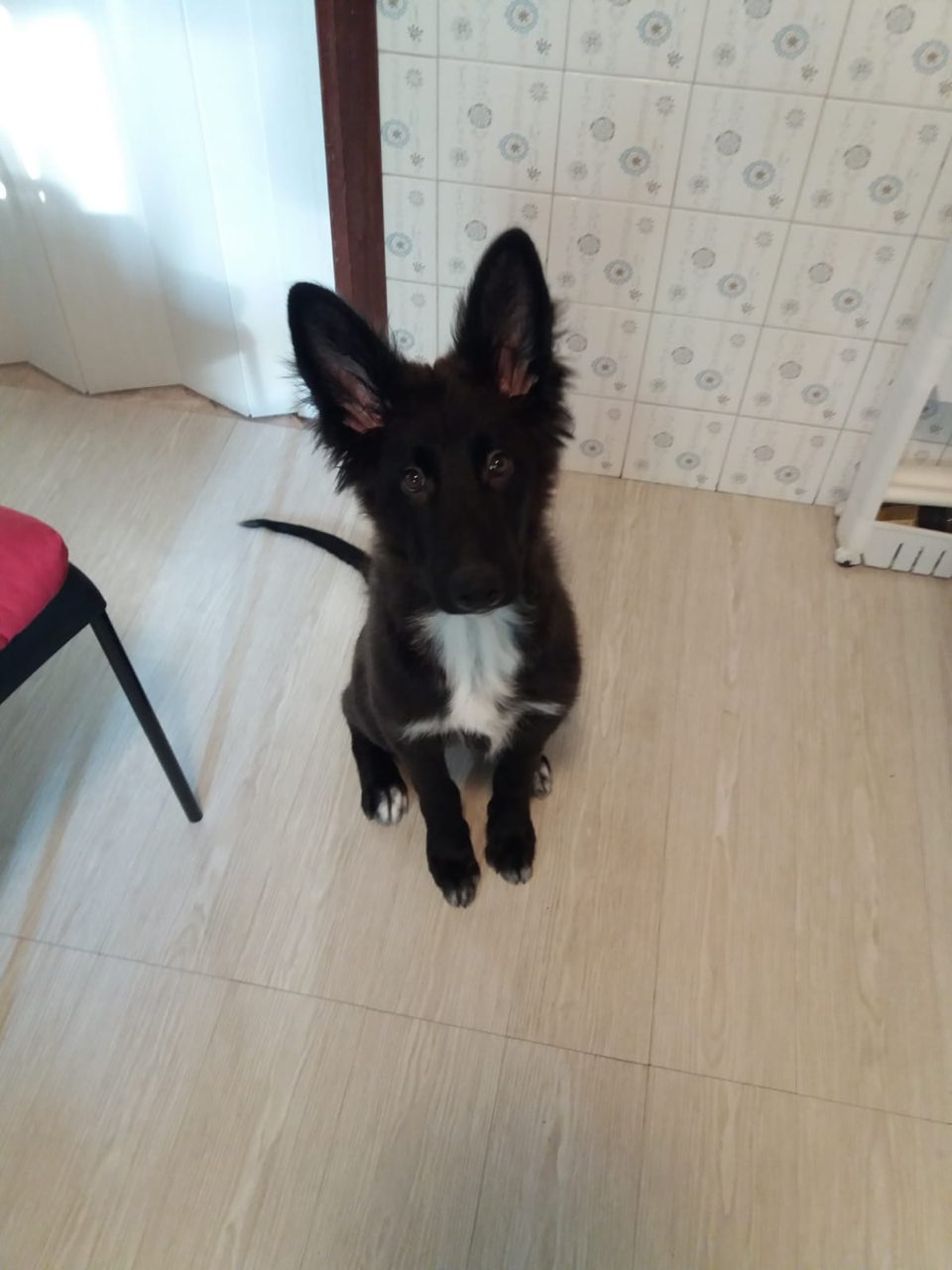 ETTORE