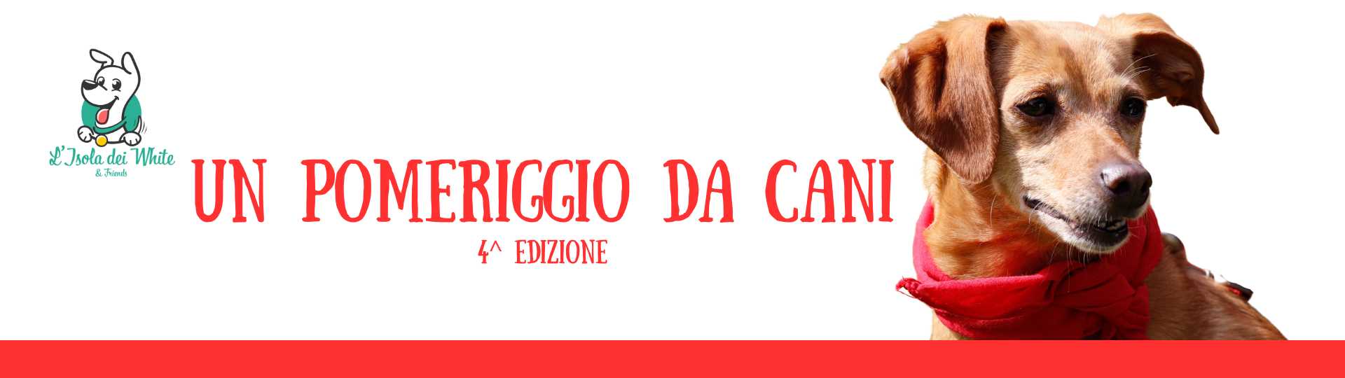Copia di Progetto senza titolo (1920 x 540 px)